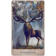 Divine Nature Oracle kortų ir knygos rinkinys US Games Systems