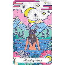 Oracle of Destiny cards and book US Games Systems Oracle of Destiny cards and book US Games Systems