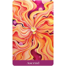 Woven Spirit Oracle Cards and Guide US Games Systems Woven Spirit Oracle Cards and Guide US Games Systems