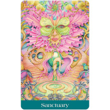 Woven Spirit Oracle Cards and Guide US Games Systems Woven Spirit Oracle Cards and Guide US Games Systems