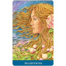 Woven Spirit Oracle Cards and Guide US Games Systems Woven Spirit Oracle Cards and Guide US Games Systems