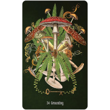 Unlocking the Secret Garden Oracle kortos US Games Systems Unlocking the Secret Garden Oracle kortos US Games Systems