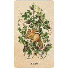 Unlocking the Secret Garden Oracle Cards US Games Systems Unlocking the Secret Garden Oracle Cards US Games Systems
