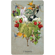 Unlocking the Secret Garden Oracle kortos US Games Systems Unlocking the Secret Garden Oracle kortos US Games Systems