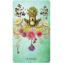 Unlocking the Secret Garden Oracle Cards US Games Systems Unlocking the Secret Garden Oracle Cards US Games Systems