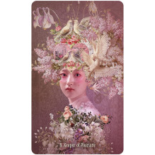 Unlocking the Secret Garden Oracle Cards US Games Systems Unlocking the Secret Garden Oracle Cards US Games Systems