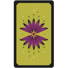 The Secret Oracle of the Green Witch kortos US Games Systems