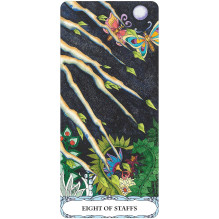 Tarot of a Moon Garden Borderless kortos US Games Systems Tarot of a Moon Garden Borderless kortos US Games Systems