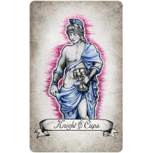 The Way Seekers Tarot Cards and Booklet US Games Systems The Way Seekers Tarot Cards and Booklet US Games Systems