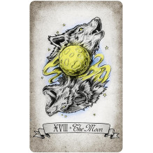 The Way Seekers Tarot Cards and Booklet US Games Systems The Way Seekers Tarot Cards and Booklet US Games Systems