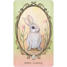Wing, Hoof and Paw: an Animal Companion Oracle kortos US Games Systems Wing, Hoof and Paw: an Animal Companion Oracle kortos US Games Systems
