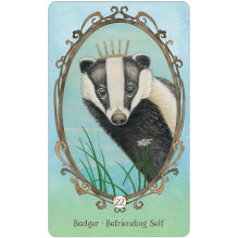 Wing, Hoof and Paw: an Animal Companion Oracle Cards US Games Systems