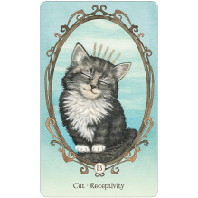 Wing, Hoof and Paw: an Animal Companion Oracle Cards US Games Systems