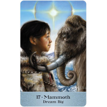Totem Guardians Oracle Cards US Games Systems Totem Guardians Oracle Cards US Games Systems