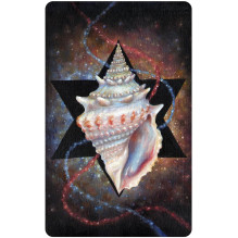 Totem Guardians Oracle Cards US Games Systems Totem Guardians Oracle Cards US Games Systems