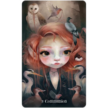 Wisdom of the Wild Things Oracle Cards US Games Systems Wisdom of the Wild Things Oracle Cards US Games Systems