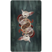 Wisdom of the Wild Things orakulo kortos US Games Systems Wisdom of the Wild Things orakulo kortos US Games Systems