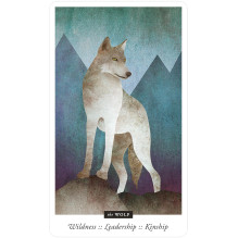 Familiar Field Oracle Cards US Games Systems