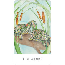 Black Seed Tarot Cards by US Games Systems Black Seed Tarot Cards by US Games Systems