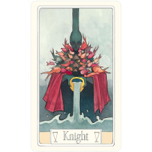 Curious Travels Tarot Cards US Games Systems Curious Travels Tarot Cards US Games Systems