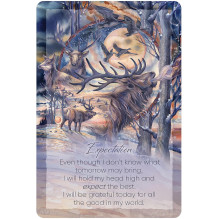 The Light Within Afirmacijos kortos US Games Systems
