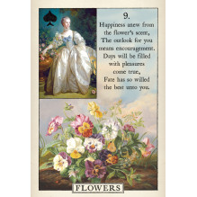 Blue Bird Lenormand kortos US Games Systems Blue Bird Lenormand kortos US Games Systems