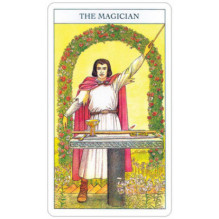 Beginners Guide To Tarot kortos ir knyga US Games Systems Beginners Guide To Tarot kortos ir knyga US Games Systems