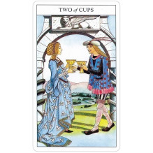 Beginners Guide To Tarot kortos ir knyga US Games Systems Beginners Guide To Tarot kortos ir knyga US Games Systems