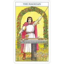 Beginners Guide To Tarot kortos ir knyga US Games Systems Beginners Guide To Tarot kortos ir knyga US Games Systems