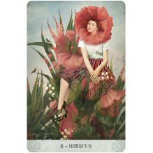 Botanical Dreams Oracle kortos US Games Systems