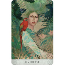 Botanical Dreams Oracle Cards US Games Systems Botanical Dreams Oracle Cards US Games Systems