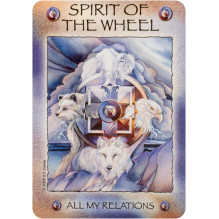 Spirit Of The Wheel Meditation Cards US Games Systems