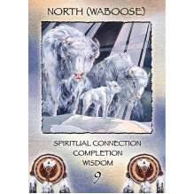 Spirit Of The Wheel Meditation kortos US Games Systems Spirit Of The Wheel Meditation kortos US Games Systems