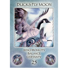 Spirit Of The Wheel Meditation Cards US Games Systems