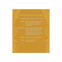 Mudras for Awakening the Energy Body meditacinės kortos ir knyga US Games Systems Mudras for Awakening the Energy Body meditacinės kortos ir knyga US Games Systems