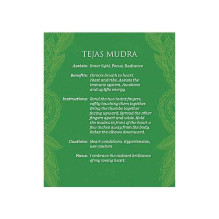 Mudras for Awakening the Energy Body meditation cards and book US Games Systems Mudras for Awakening the Energy Body meditation cards and book US Games Systems