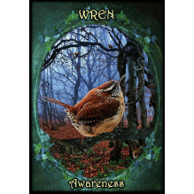 Witches Familiars Oracle Cards Solarus Witches Familiars Oracle Cards Solarus