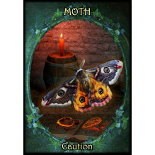 Witches Familiars Oracle Cards Solarus Witches Familiars Oracle Cards Solarus