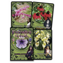 Flower Magic Oracle Kortos Solarus Flower Magic Oracle Kortos Solarus