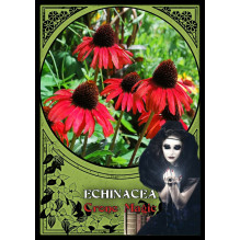 Flower Magic Oracle Cards Solarus Flower Magic Oracle Cards Solarus
