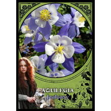Flower Magic Oracle Kortos Solarus Flower Magic Oracle Kortos Solarus