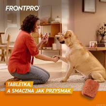 FRONTPRO tabletės nuo blusų ir erkių šunims (25–50 kg) – 3 x 136 mg