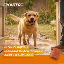 FRONTPRO tabletės nuo blusų ir erkių šunims (25–50 kg) – 3 x 136 mg