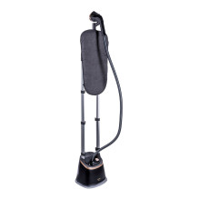 Clothes steamer PHILIPS STE3170 / 80 Clothes steamer PHILIPS STE3170 / 80