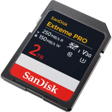 ATMINTINIS SDXC 2TB UHS-1 / SDSDXXD-2T00-GN4IN SANDIS DISKAS