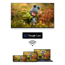 Televizorius, THOMSON, 65 col., 4K / Smart, QLED, 3840x2160, belaidis LAN, Bluetooth, Google TV, tamsiai pilka, 65QG4S14