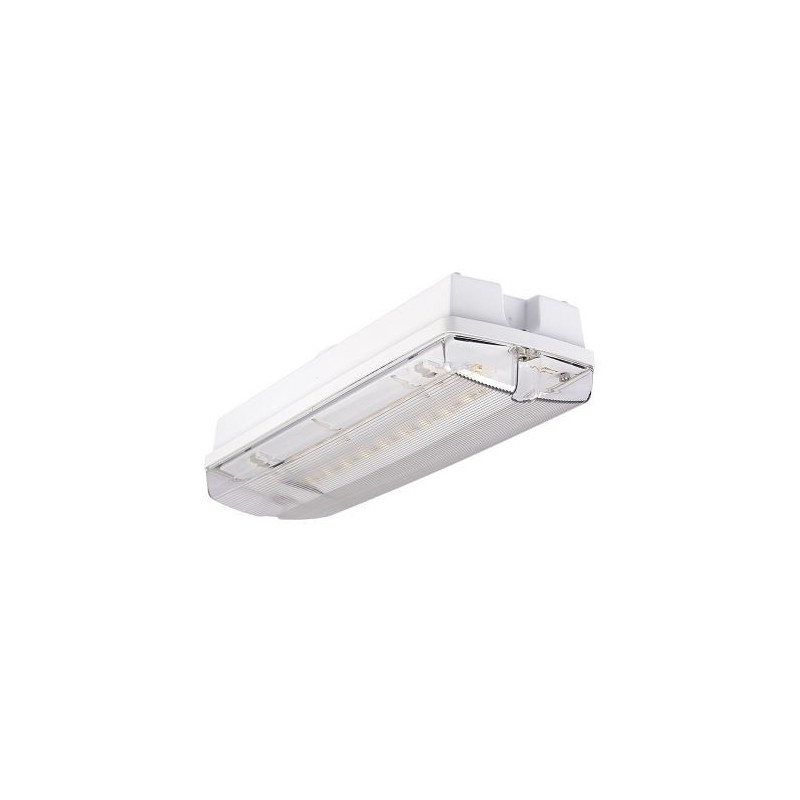 Orion 4W LED avarinio išėjimo šviestuvas, 3H baterija, IP65