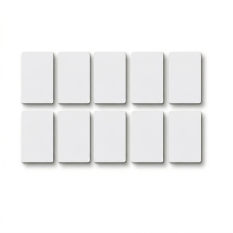 MIFARE RFID card set 10 pcs., 13.56MHz, Proximity card, 90×60×50mm, Qoltec