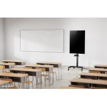 TV SET ACC FLOOR STAND BLACK / 37-70" PLASMA-M1900E NEOMOUNTS TV SET ACC FLOOR STAND BLACK / 37-70" PLASMA-M1900E NEOMOUNTS