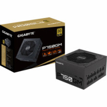 Gigabaitas P750GM
